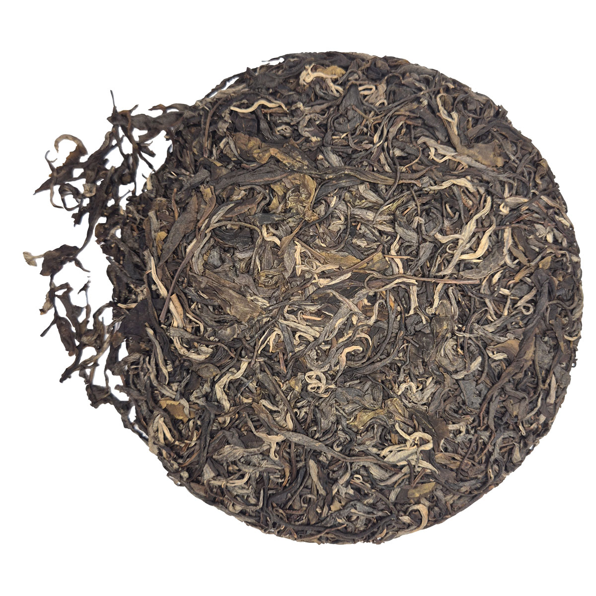 2021 Ha Giang Gushu – Sheng Pu-erh – 350g пита (Виетнам)