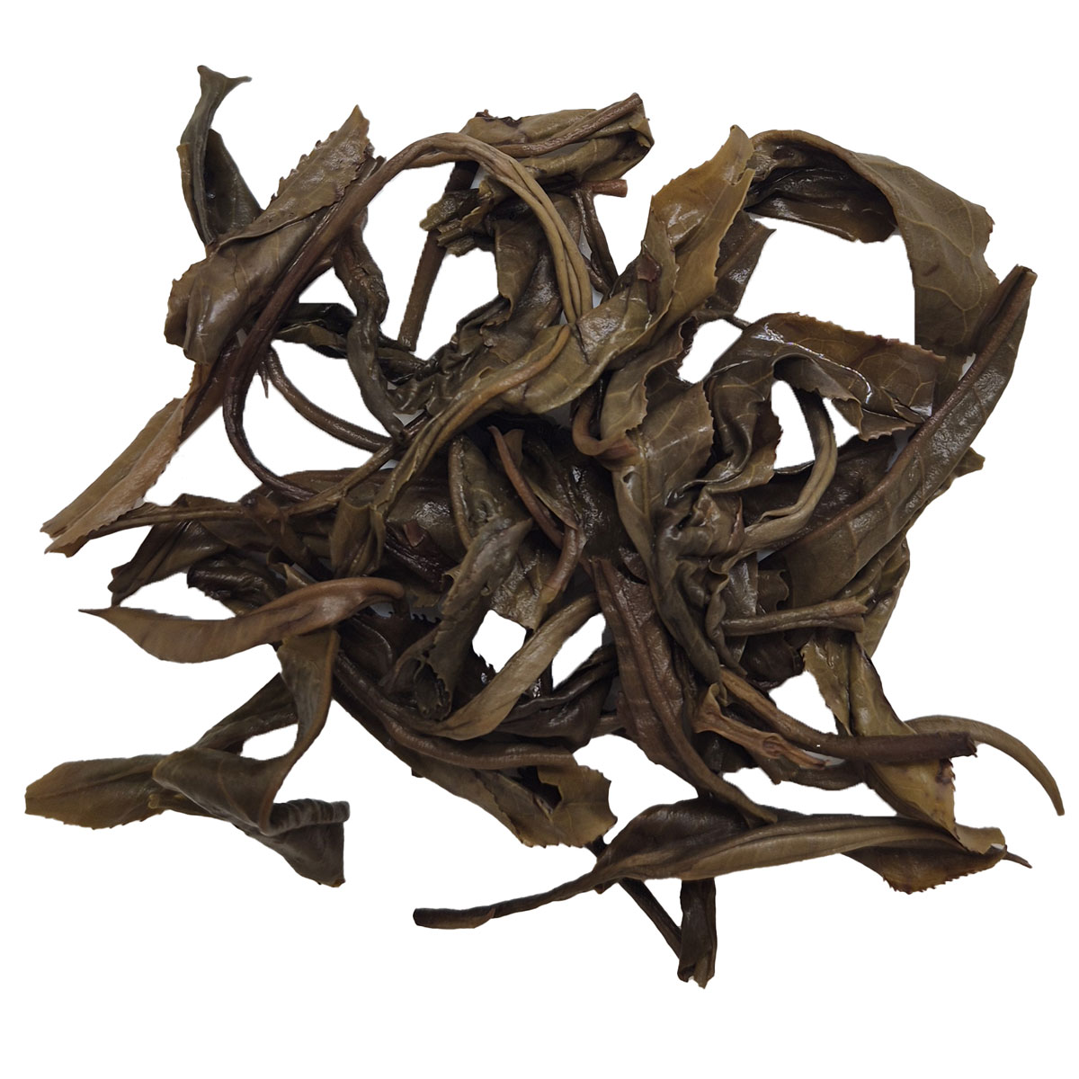 2021 Ha Giang Gushu – Sheng Pu-erh – 350g пита (Виетнам) - мокри листа
